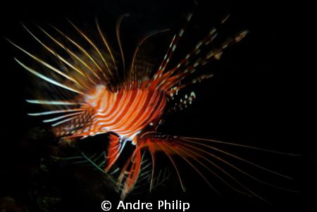 nightly firework by Andre Philip 