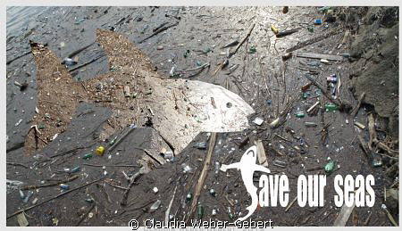 Save our Seas II by Claudia Weber-Gebert 