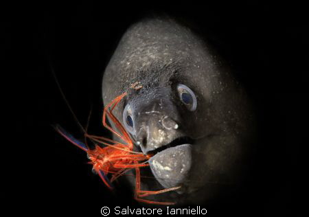 Rosso by Salvatore Ianniello 