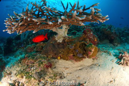 Under the table top by Todd Moseley 