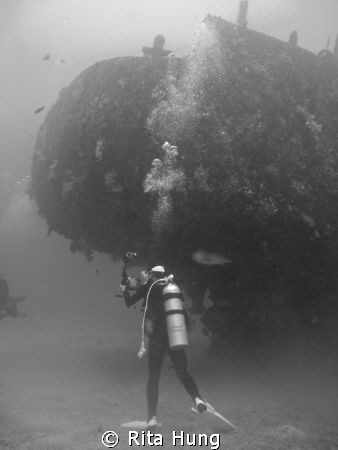 Diver so concentrate to take photograph of the ship wreck. by Rita Hung 