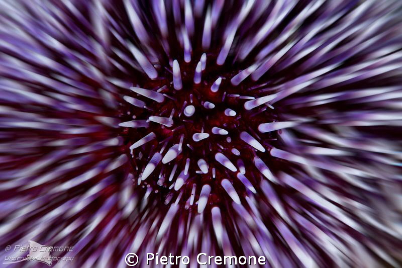 Big Bang by Pietro Cremone 