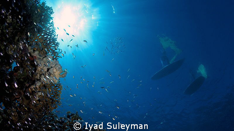 Surfers by Iyad Suleyman 