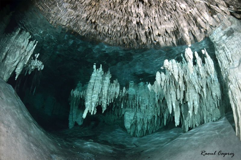 The beauty of nature under the strobes light (all dark be... by Raoul Caprez 