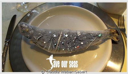 no pollution - save our seas by Claudia Weber-Gebert 