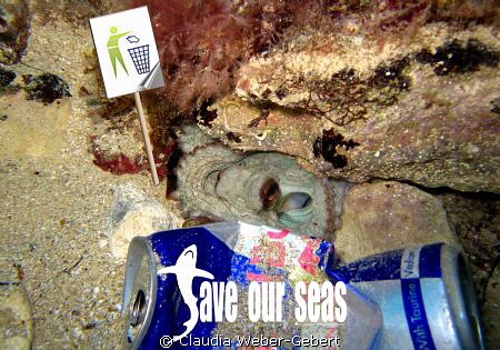 no pollution - save our seas by Claudia Weber-Gebert 