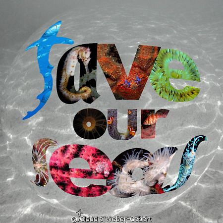 save our seas - all over the world! by Claudia Weber-Gebert 