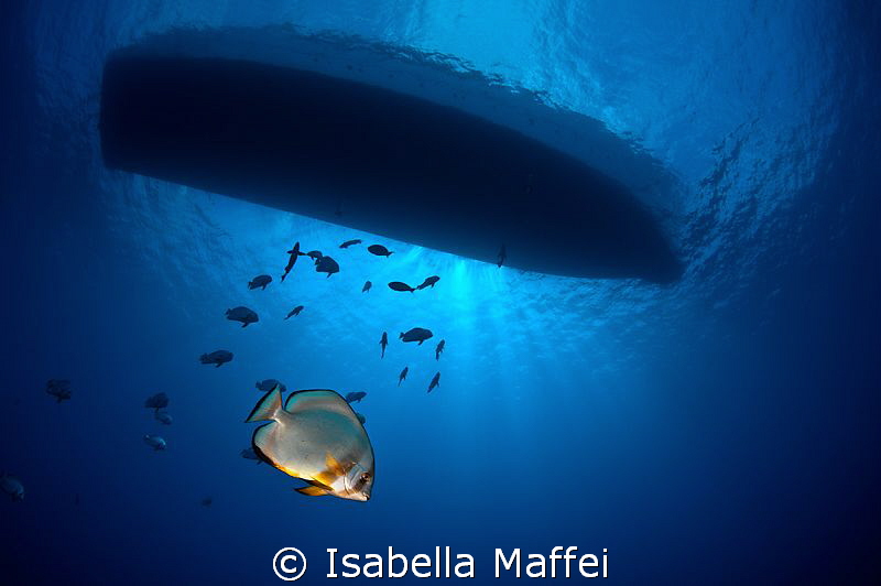 "LIGHT KISS" by Isabella Maffei 