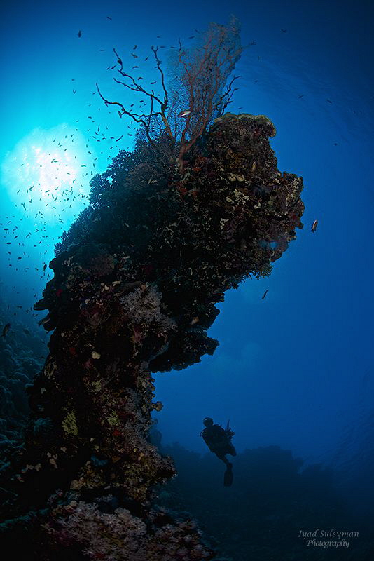 Diver in MYSTERIOUS PLACE by Iyad Suleyman 