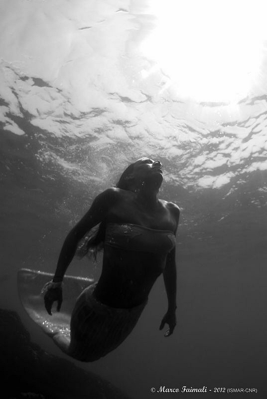 Mermaid at sunset in a summer day by Marco Faimali (ismar-Cnr) 