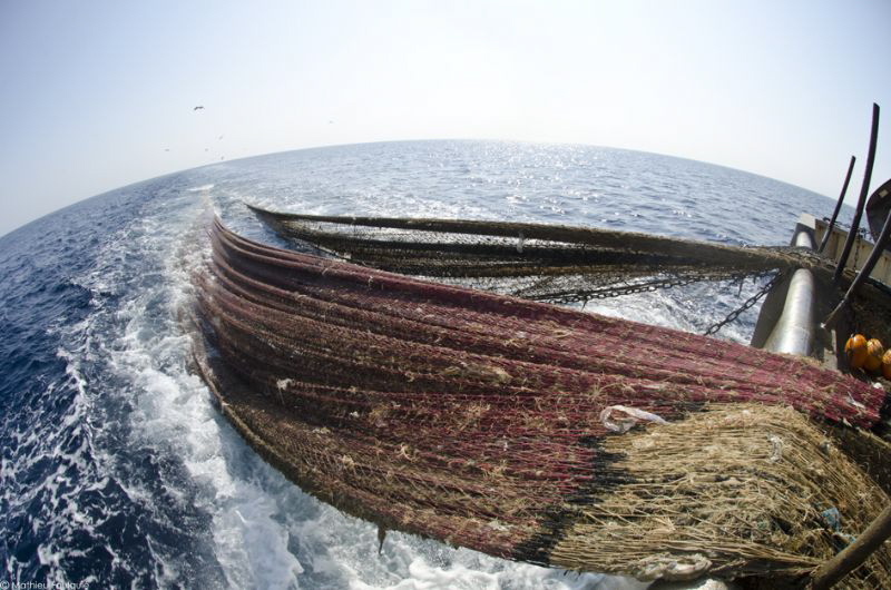 twin-trawlers industrial over-fishing by Mathieu Foulquié 