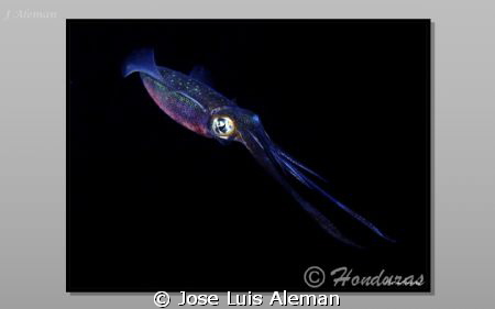 compact olympos mju 760 by Jose Luis Aleman 