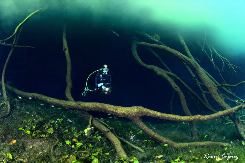 Diving under a cloud by Raoul Caprez 