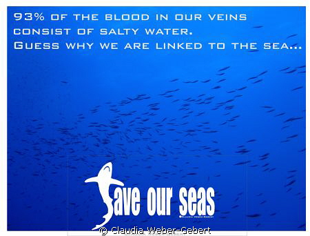 93% of our blood consists of saltwater by Claudia Weber-Gebert 