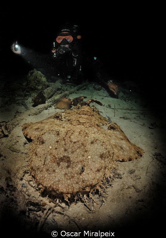Nightdive in Raja Ampat by Oscar Miralpeix 