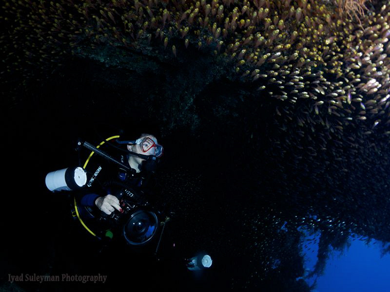Dunraven wreck - Egypt, Red Sea
Isa inside the wreck sur... by Iyad Suleyman 