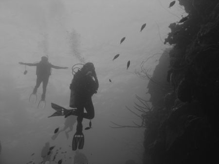 Wall diving in Bonaire by Kelly N. Saunders 