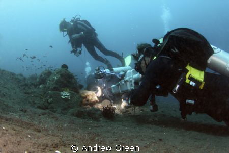 Teeth cleaning by the local shrimps. Diver is Tom Bligh, ... by Andrew Green 