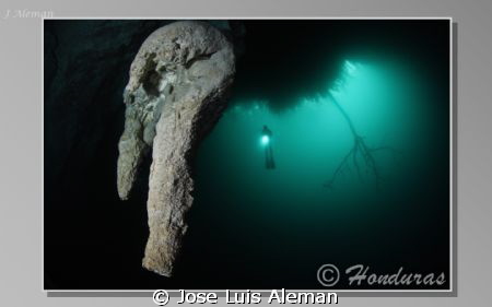 cenote la angelita.
nikkon d 60 by Jose Luis Aleman 