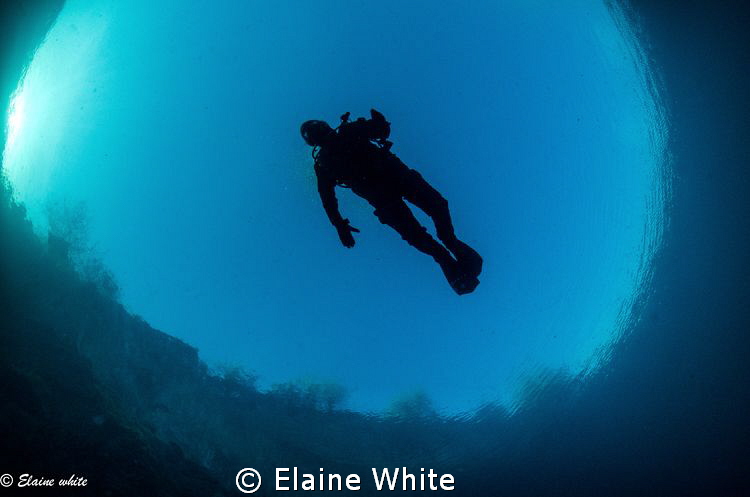 Through the round window by Elaine White 