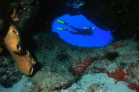 Cozumel - Mexico - Nikonos V - 20mm lens by Eduardo Lima 