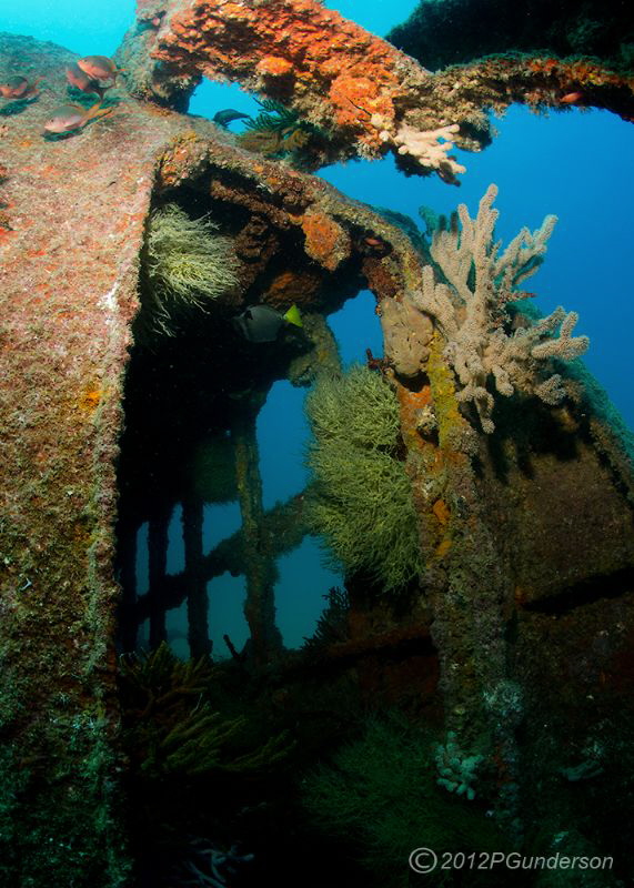 The Salvatierra, some of the structure that is left. by Pat Gunderson 