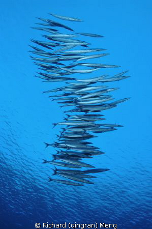 Combat formation.  This was taken in Kerama, Okinawa. by Richard (qingran) Meng 