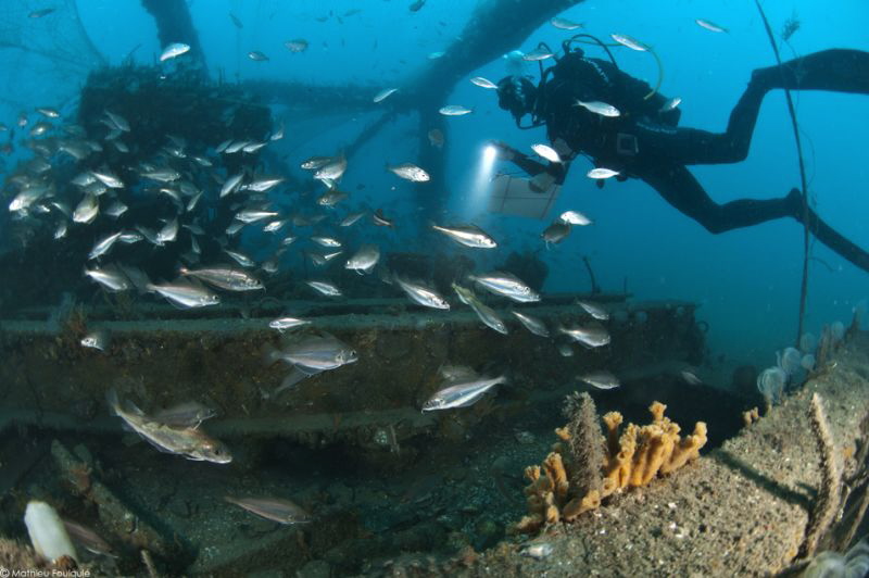 marine biologist on artificial reef by Mathieu Foulquié 