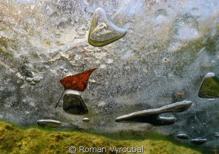 ... by Roman Vyroubal 