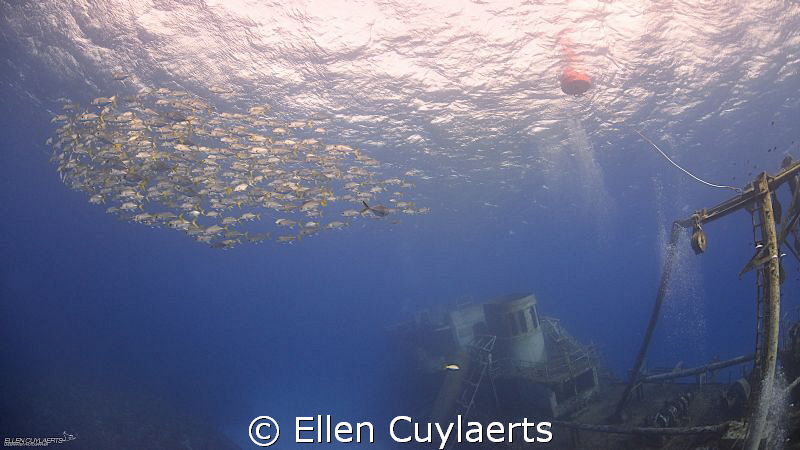 Jacks at the Ex-USS Kittiwake by Ellen Cuylaerts 