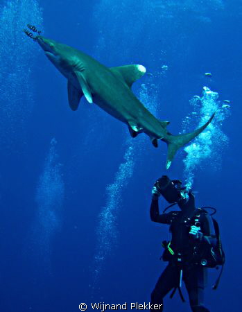 German videographer with Oceanic by Wijnand Plekker 