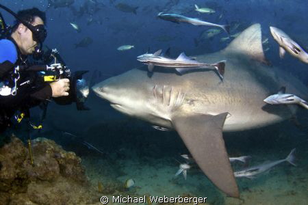 look in the mirror !!! by Michael Weberberger 