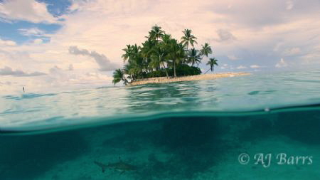 Taken at Shark island in Truk(Chuuk) Lagoon, with the bla... by Aj Barrs 