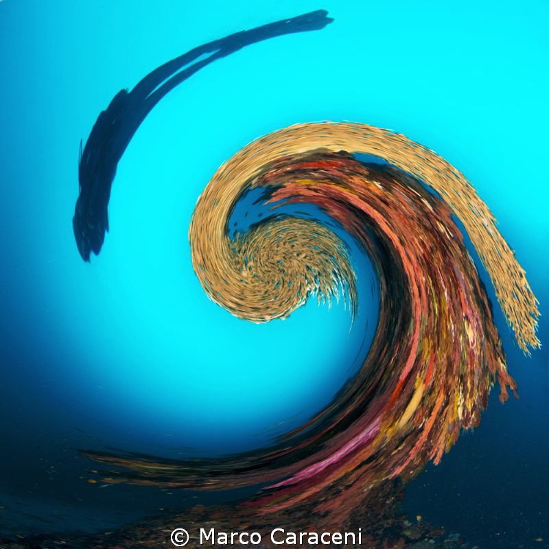 THE WAVE by Marco Caraceni 