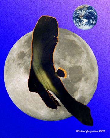 Solving the riddle: if the moon revolves around the Earth... by Michael Canzoniero 