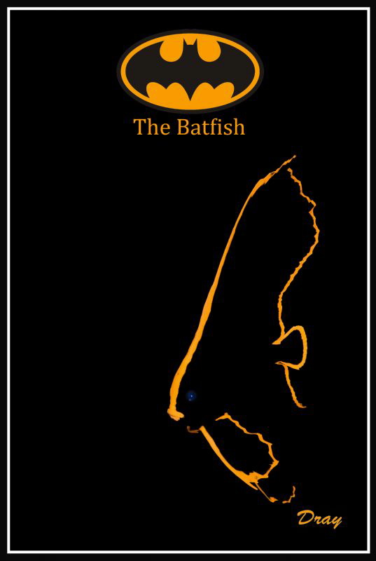 The Batfish by Dray Van Beeck 