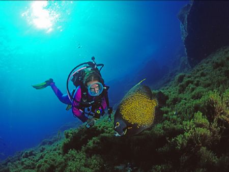 Model and Angel fish at Ressureta-Fernando de Noronha - C... by Francisco Nakahara 