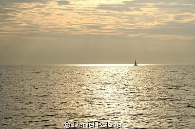 Sailing Bronze Sea by Daniel Poloha 