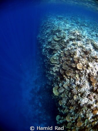 The Office. North Ari atoll by Hamid Rad 