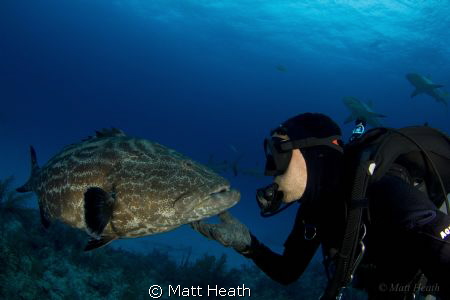 I shot this picture of myself interacting with my favorit... by Matt Heath 