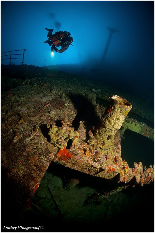 Numidia, 72 meters deep by Dmitry Vinogradov 