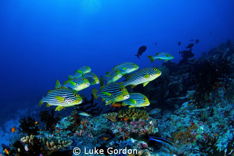 10mm, F10, 1/100th by Luke Gordon 
