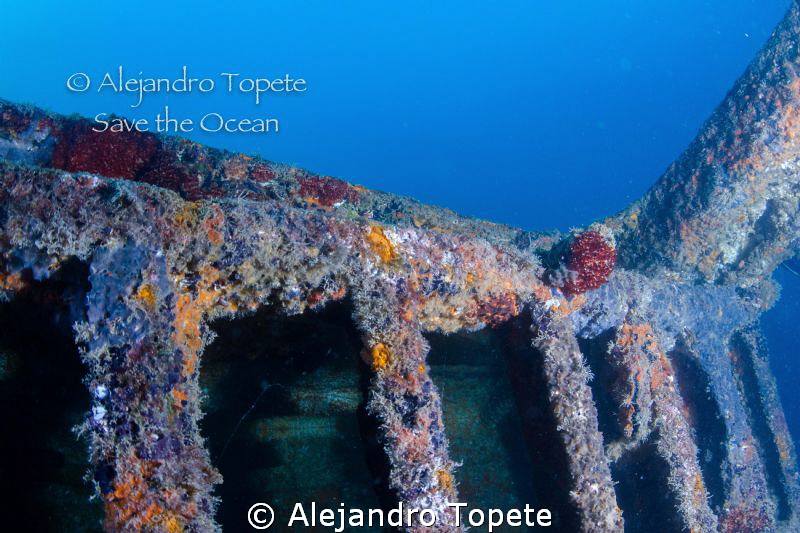 Colorfull wreck, La Paz Mexico by Alejandro Topete 