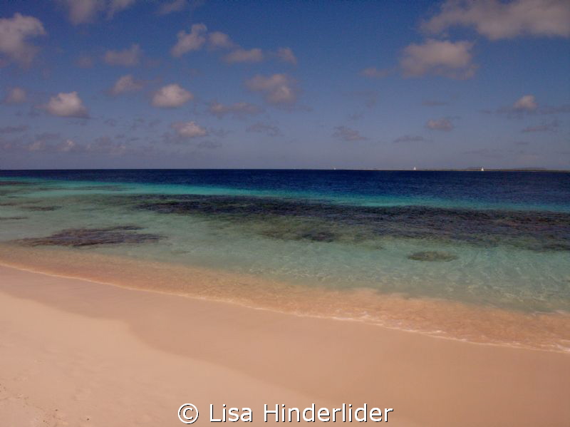 The Beautiful Blues of Bonaire. by Lisa Hinderlider 