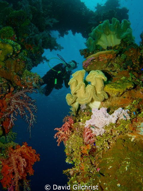 Exploring the Sanisan Maru, Truk Lagoon by David Gilchrist 