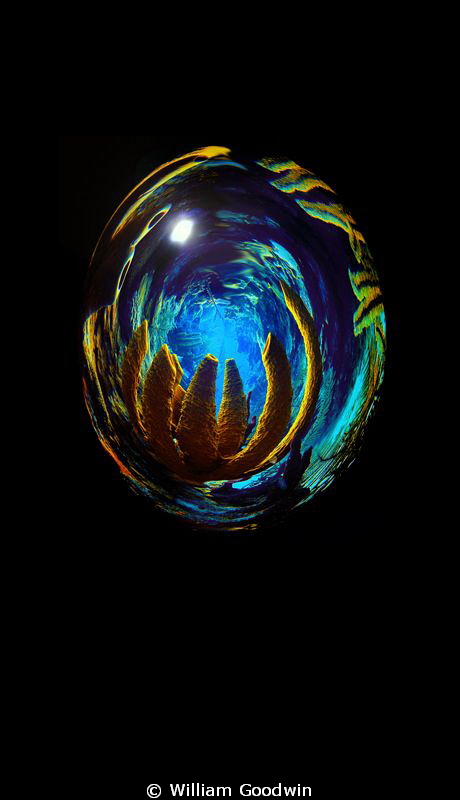 Egg No. 7 - polar coordinate tool and some shading and po... by William Goodwin 