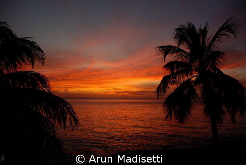 backyard sunset.... 02.03.13 by Arun Madisetti 