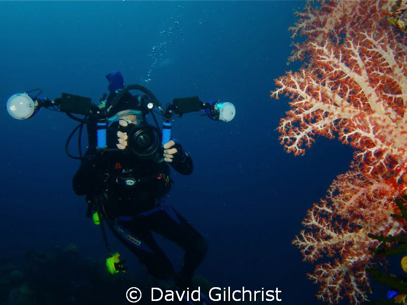 The Underwater Photographer, Sony Rx 100, Nauticam Housing by David Gilchrist 