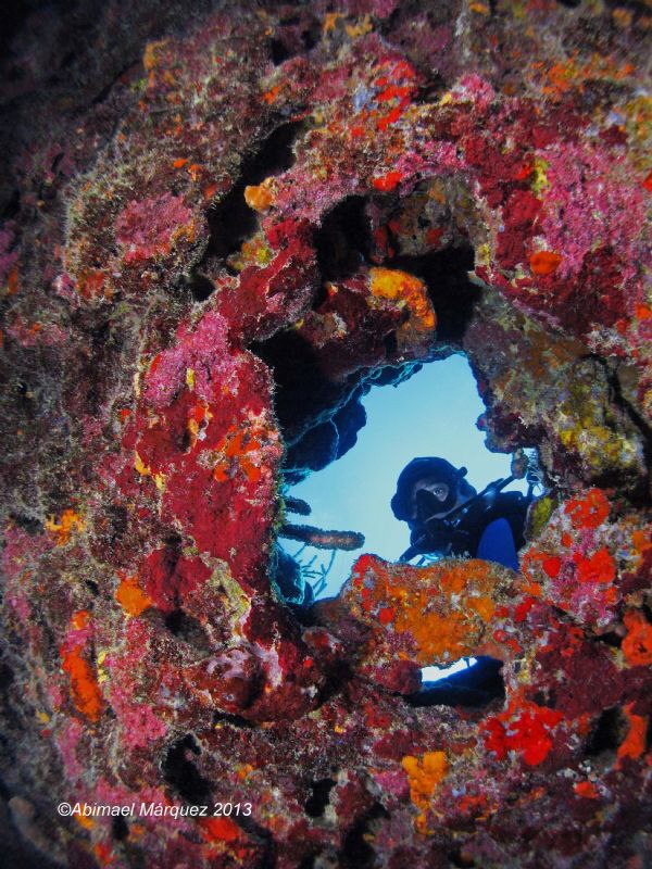 A look up, Guanica, PR. by Abimael Márquez 