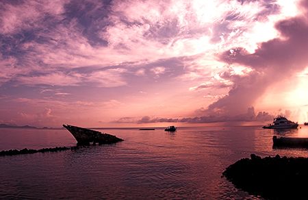 Morning...PNG after a freshing rain.
Nikon D2x by Rand Mcmeins 